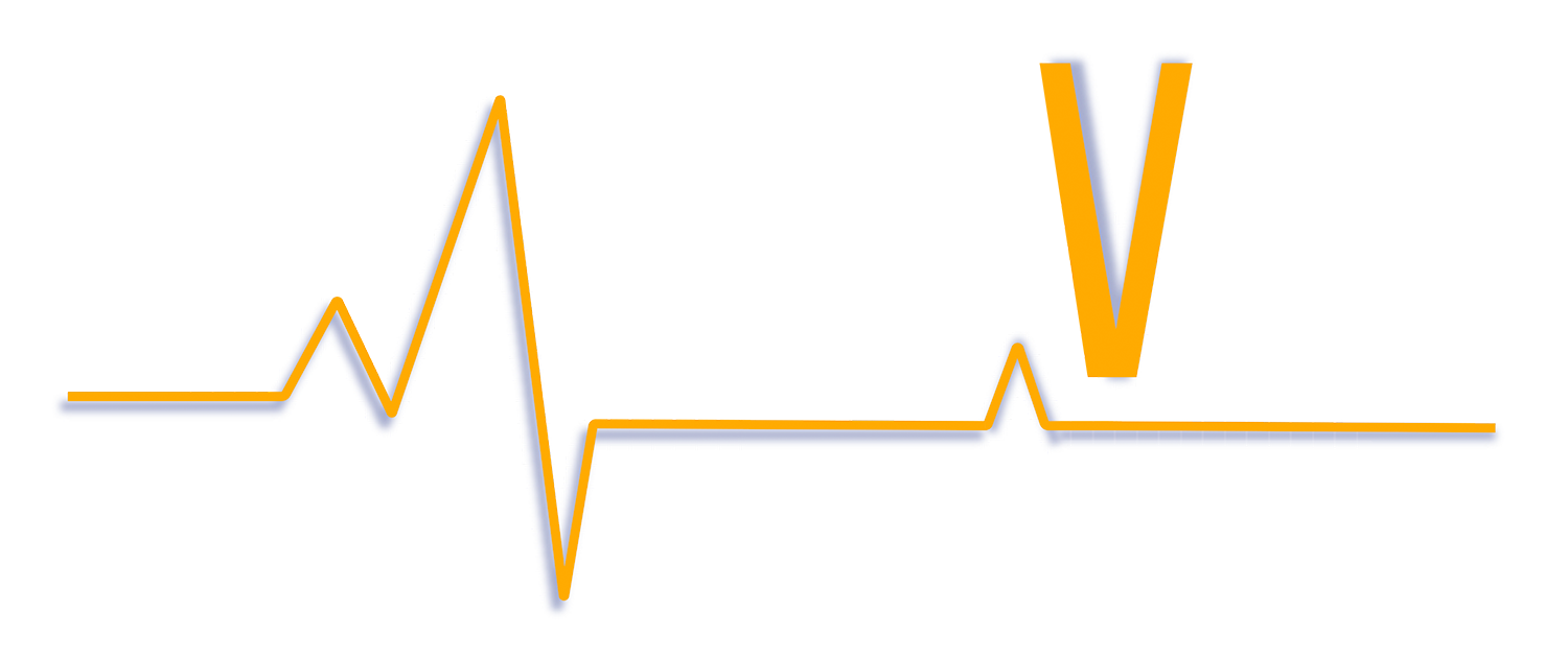 Pro Vib Services Logo